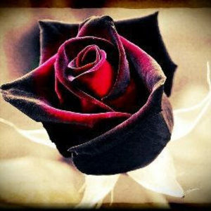 Meet your Posher, Debra